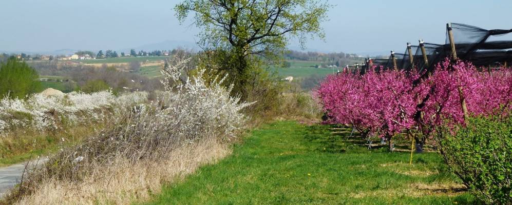 
            Фотография Сусьё-ан-Жарреса