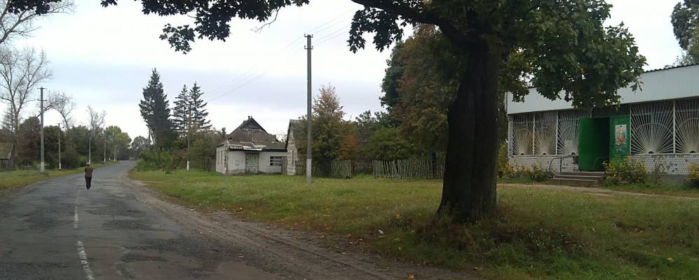 
            Фотография Лесного