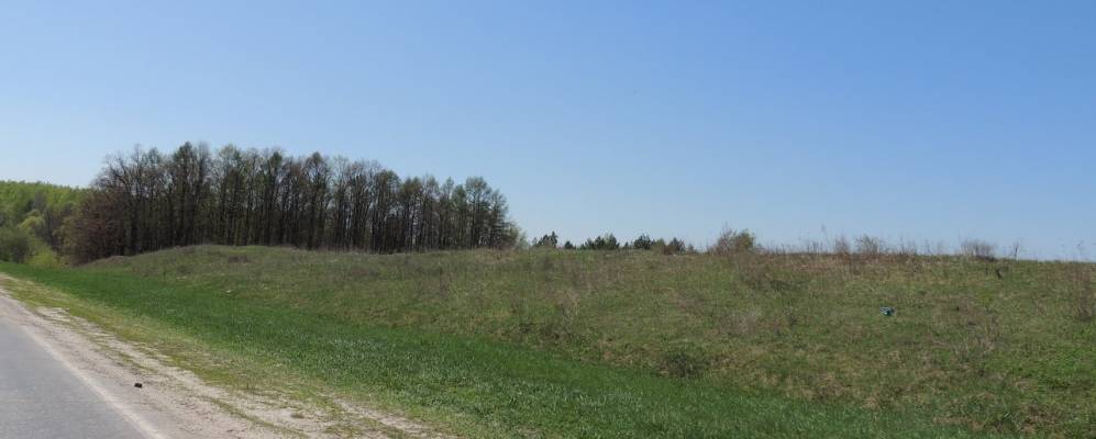 
            Фотография Баничей