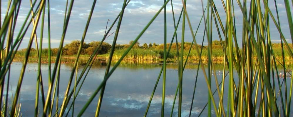 Фотография Новинки Алферова