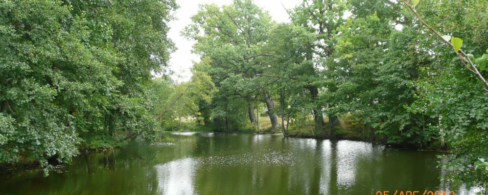 
            Фотография Стеклянной Радицы