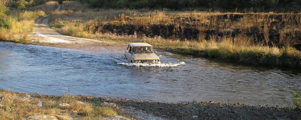 
            Фотография Лесного