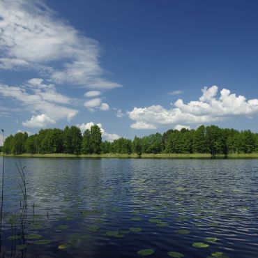 Пантелейки