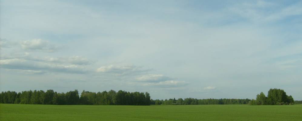 
            Фотография Кудринского Участка