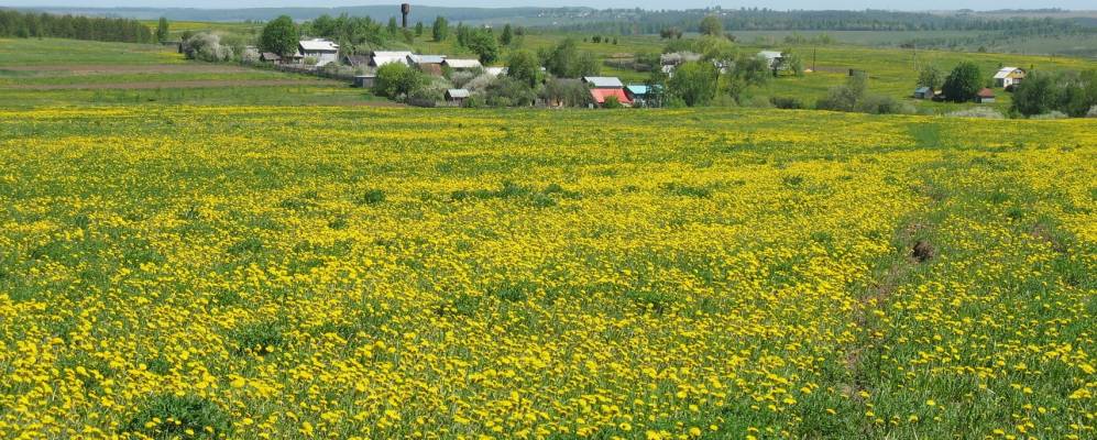 Фотография Леухово