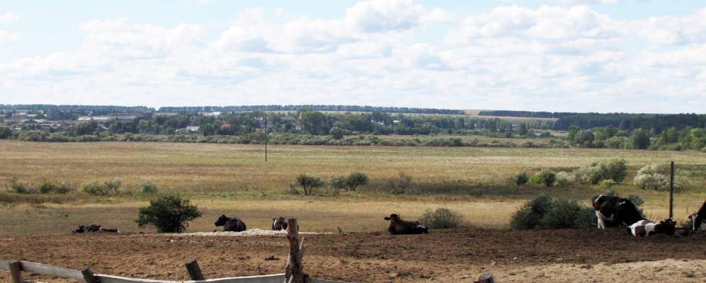 
            Фотография Мари-Ошаево