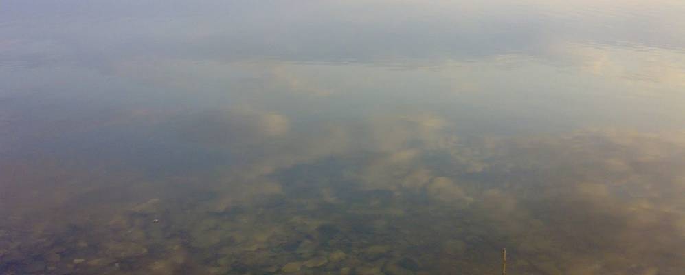 
            Фотография Искры