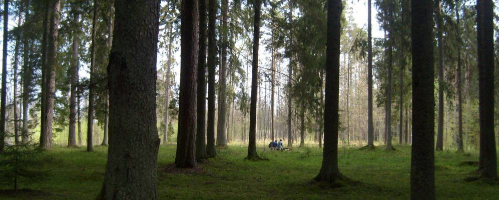 
            Фотография деревни Шевели