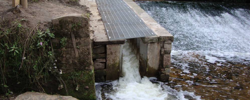 
            Фотография Кростона