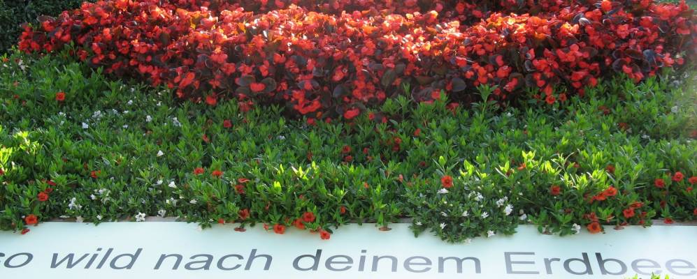 
            Фотография Нордхайма