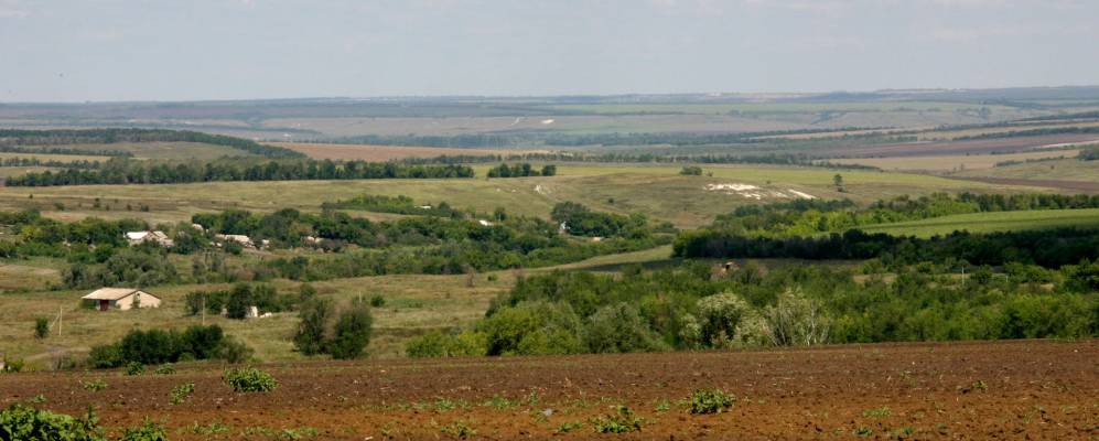 Фотография Никольского