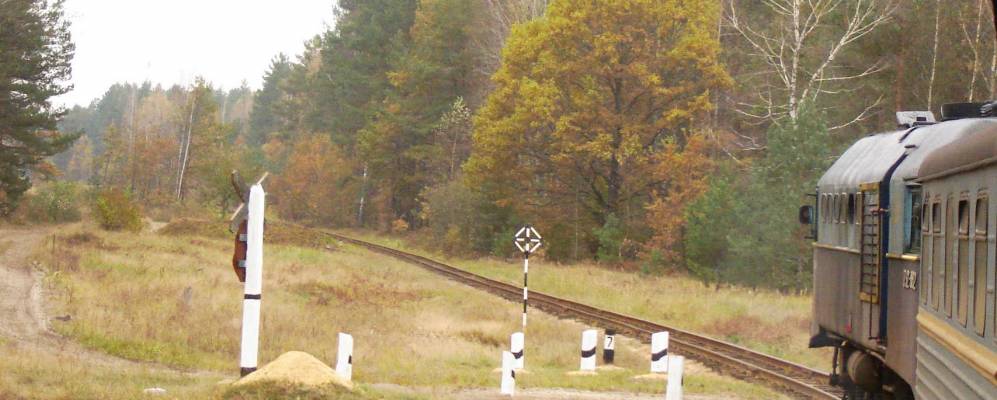 
            Фотография Новоречицы