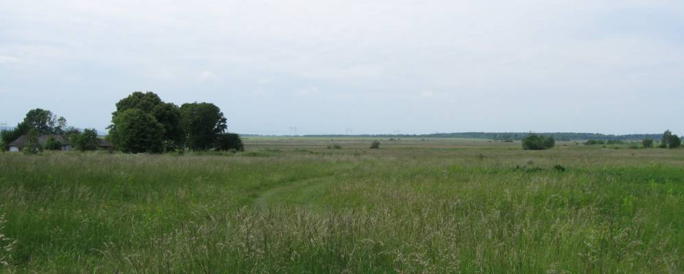 
            Фотография Великие Перелески