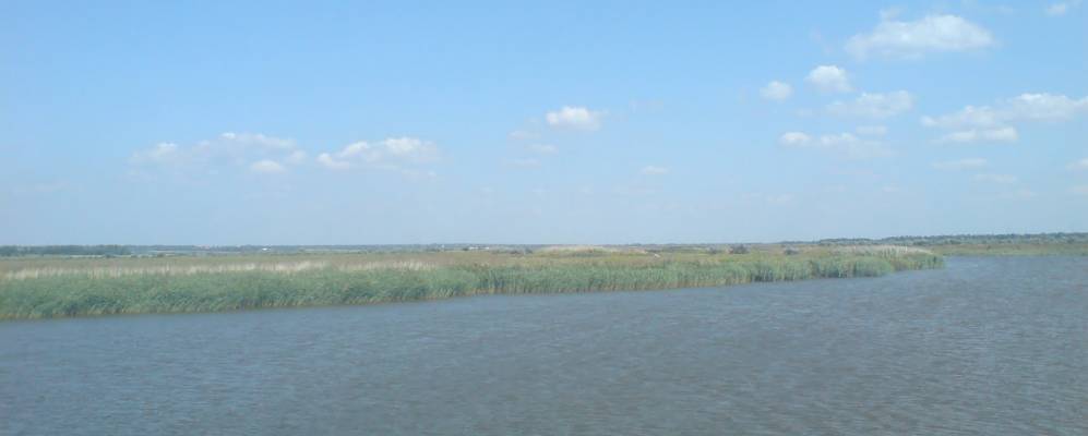 
            Фотография Зелёного