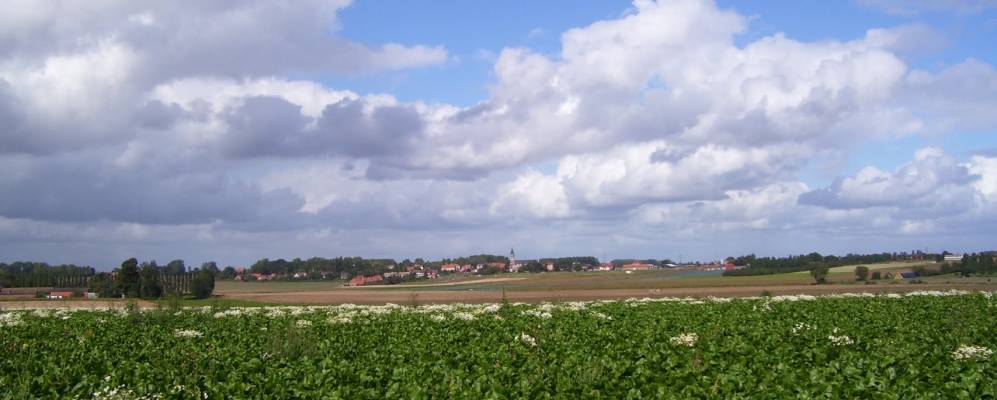 
            Фотография Англо