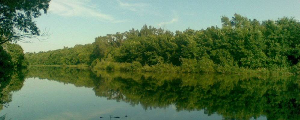 
            Фотография Кинельского