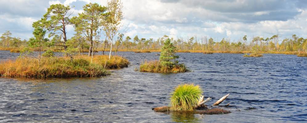 
            Фотография Суховержья