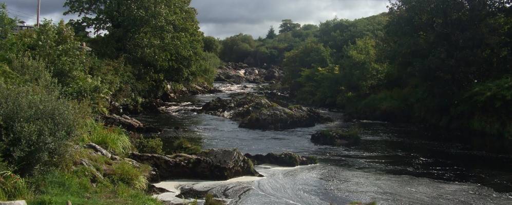 
            Фотография Carrick