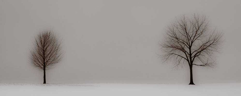 
            Фотография Клайда