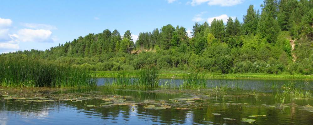 Фотография Устиновичей