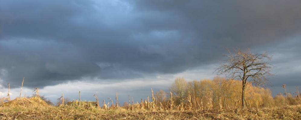 
            Фотография Староселья