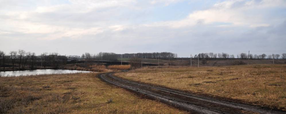 
            Фотография Троицкого