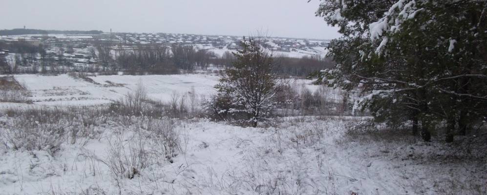 Фотография Дьяконовского Второго