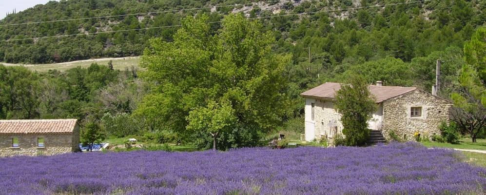
            Фотография Со-де-Воклюз