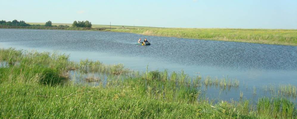 
            Фотография Моршаня