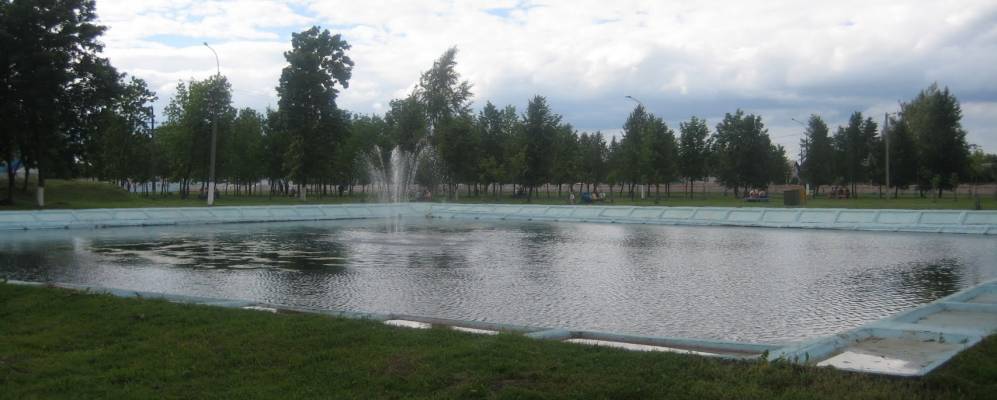 
            Фотография Рогача