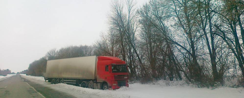 
            Фотография Вишнополя