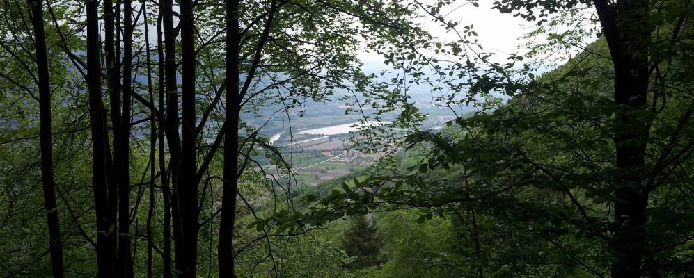 
            Фотография Гонселена