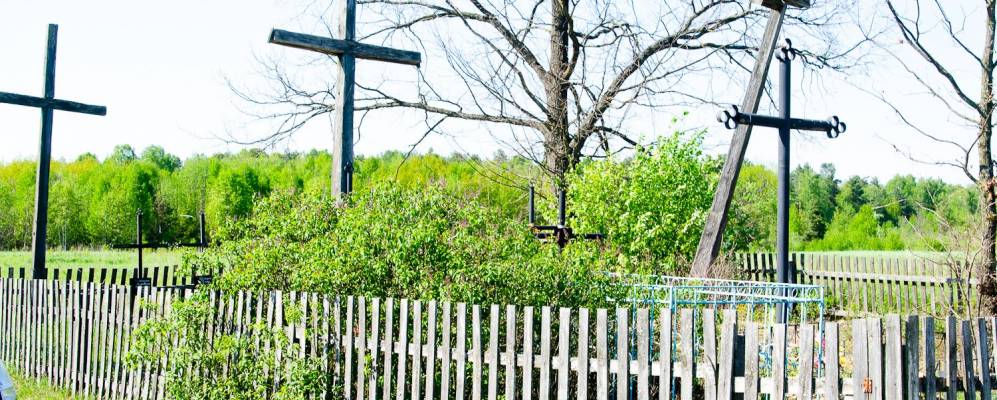 
            Фотография Крымна