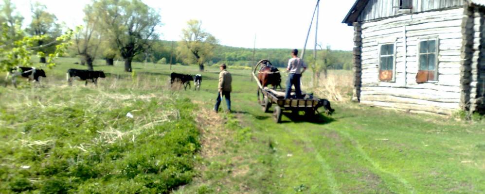
            Фотография Русской Менчи