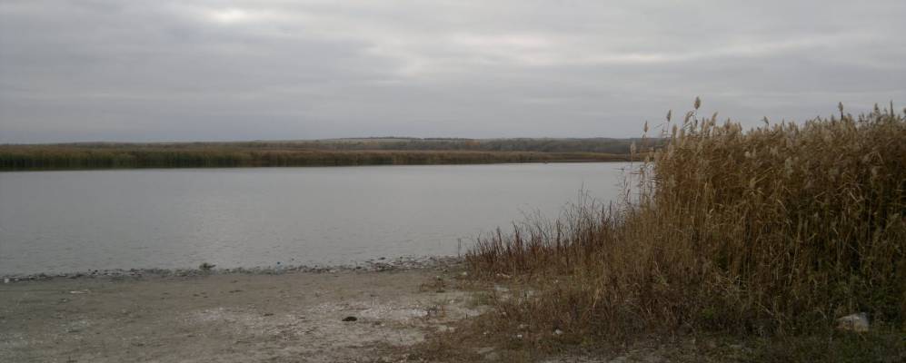 
            Фотография Донского