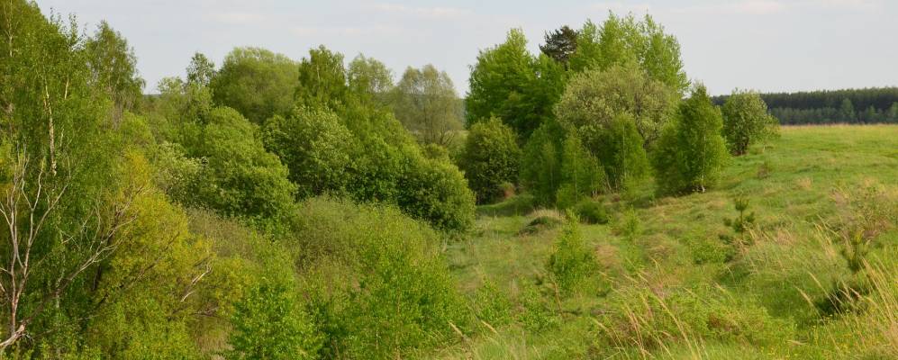 Фотография Большого Низа