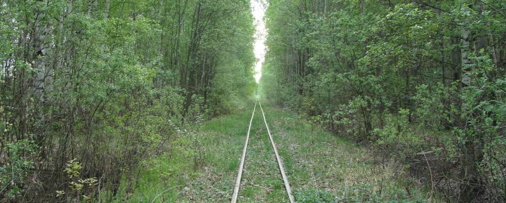 
            Фотография Гуреево