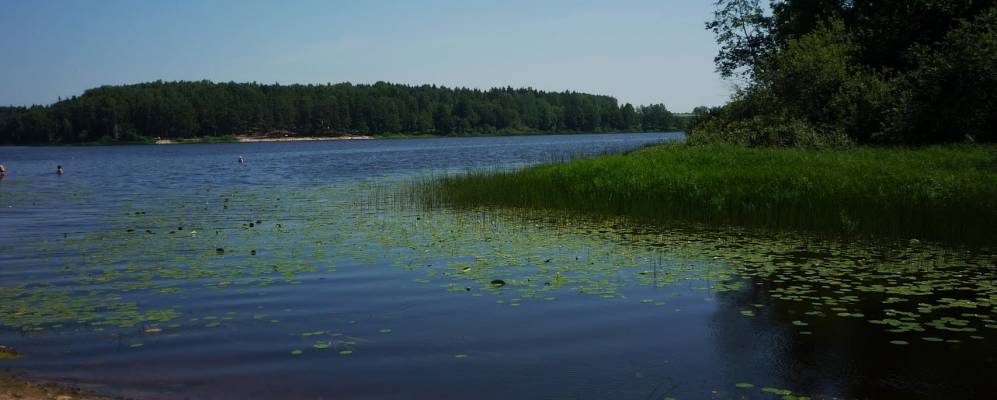 
            Фотография Заплотья