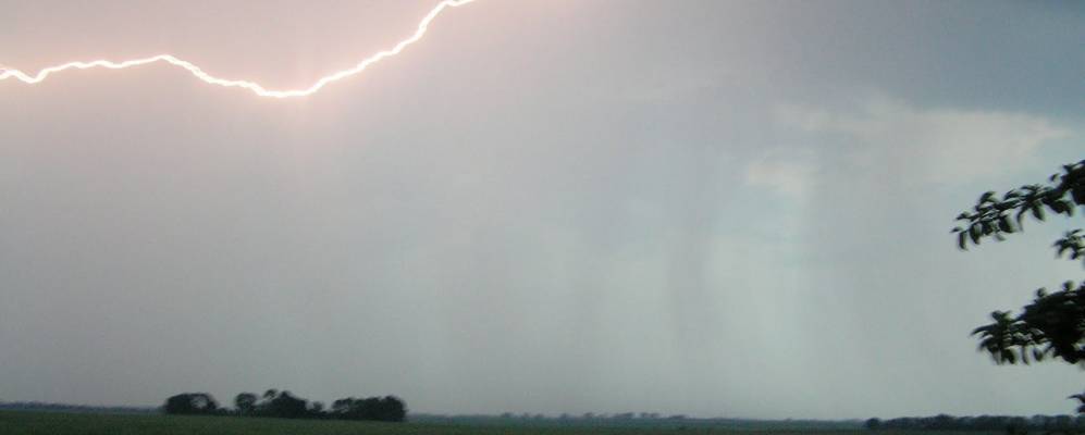 
            Фотография Червоный Степка