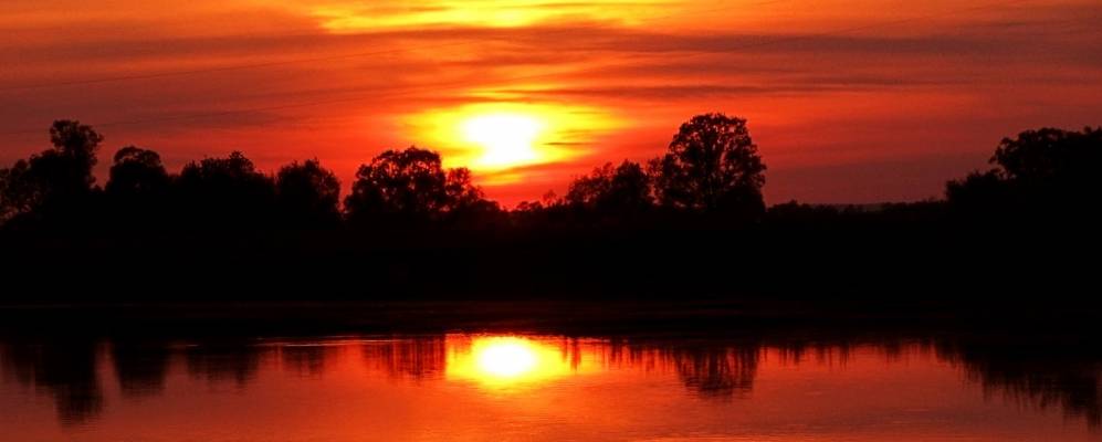 
            Фотография Прянзерок