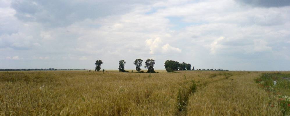 
            Фотография Криницы