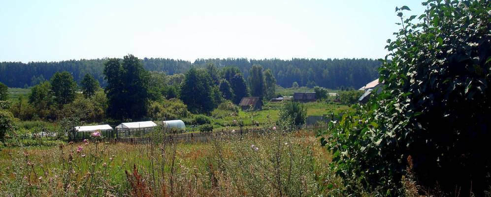
            Фотография деревни Емельяники