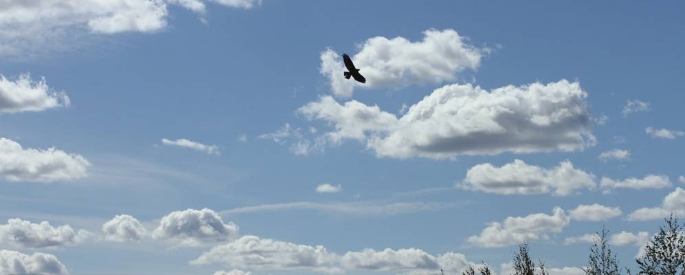 
            Фотография Слободы Переселенцев