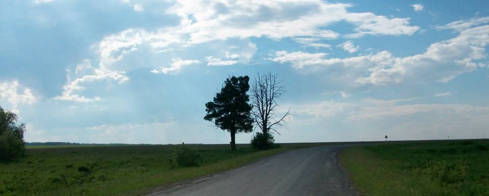 
            Фотография Щелконогова