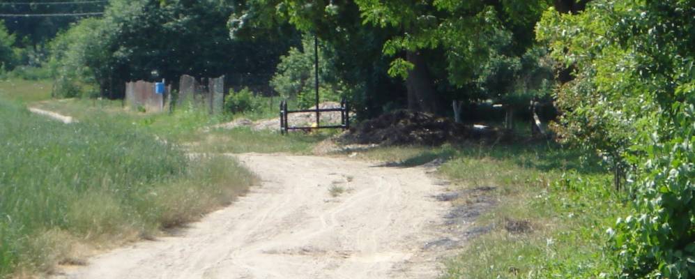 
            Фотография деревни Понижаны