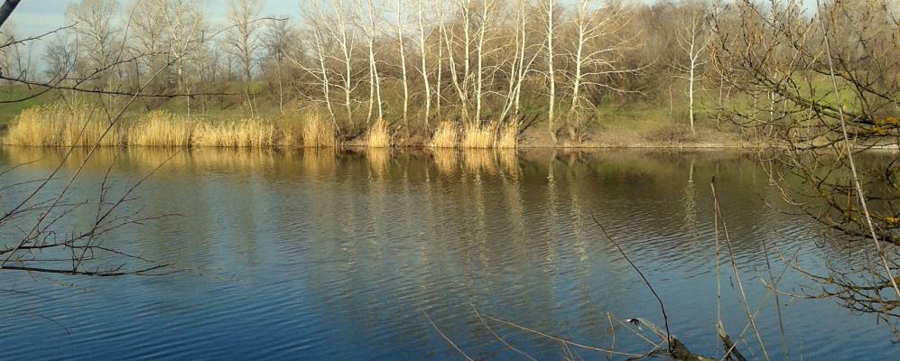 
            Фотография Новостроевки