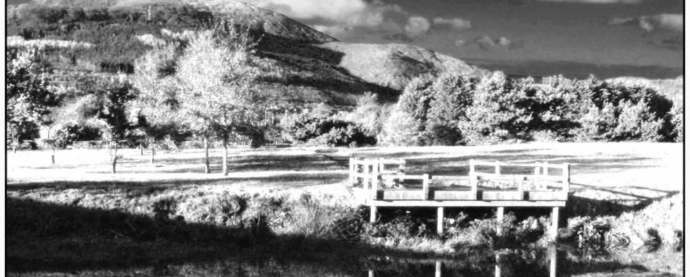 
            Фотография Ньюкасл