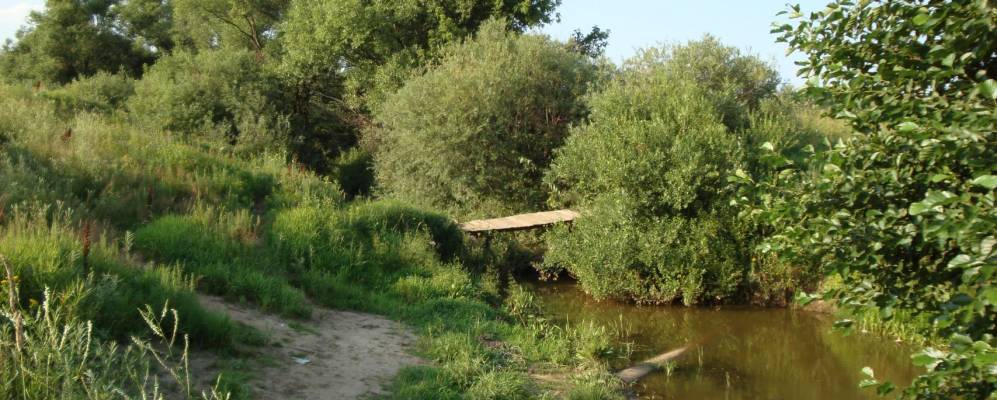 
            Фотография Юмашево