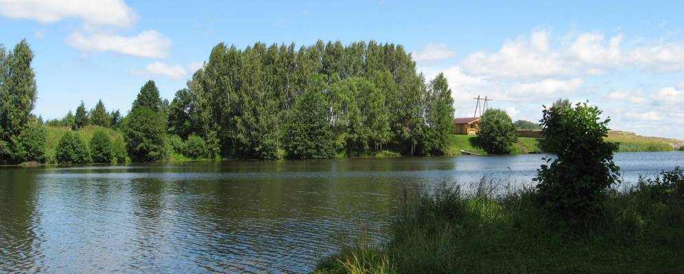 
            Фотография Шадрино