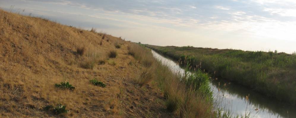 Фотография Показателя